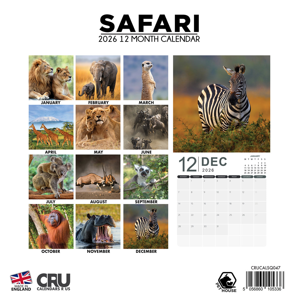 Safari - Square Calendar 2026