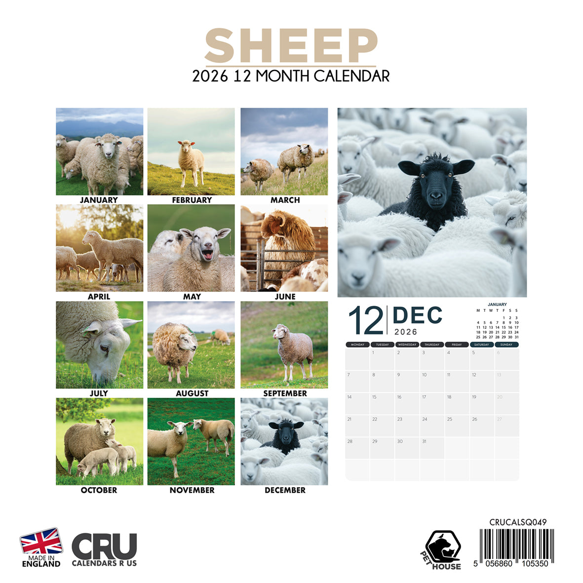 Sheep - Square Calendar 2026
