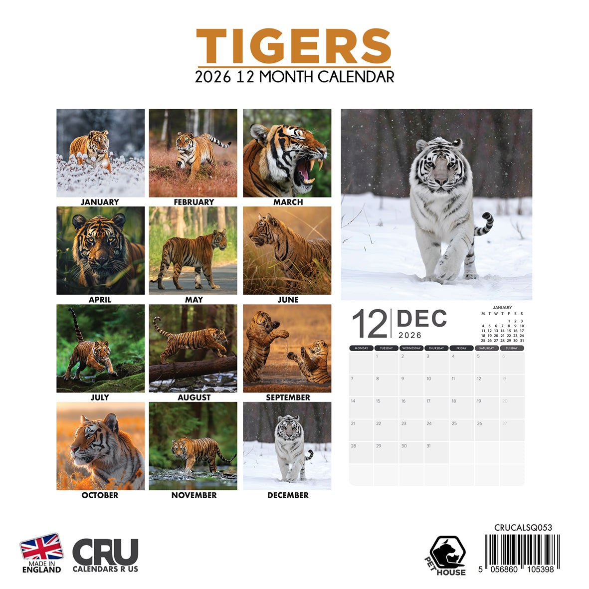 Tigers - Square Calendar 2026