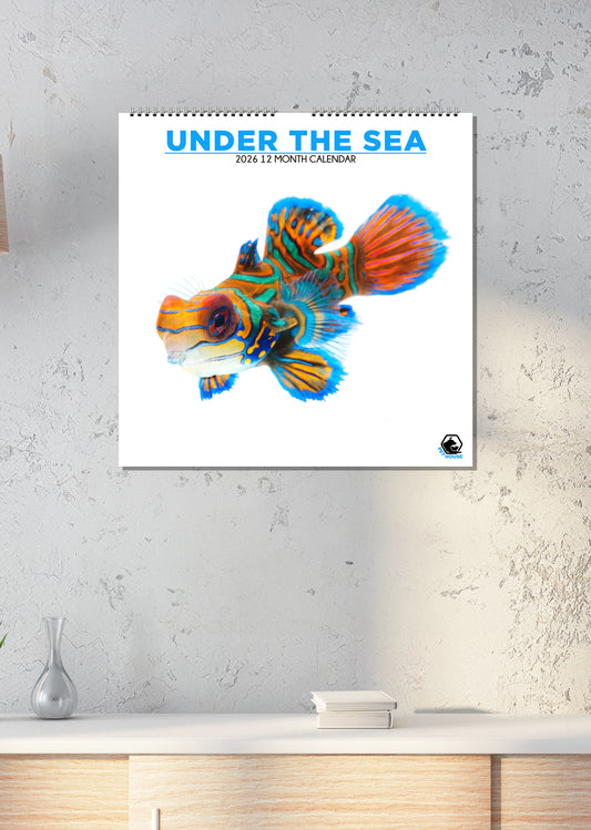Under The Sea - Square Calendar 2026