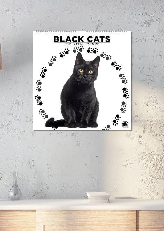 Black Cat - Square Calendar 2026