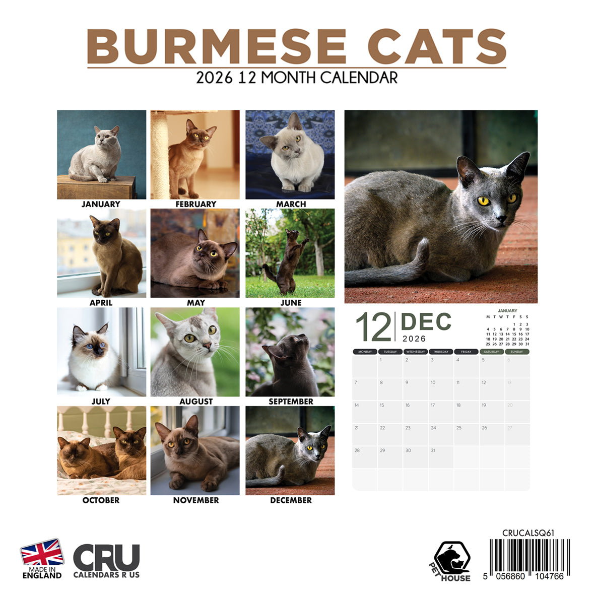 Burmese Cats - Square Calendar 2026