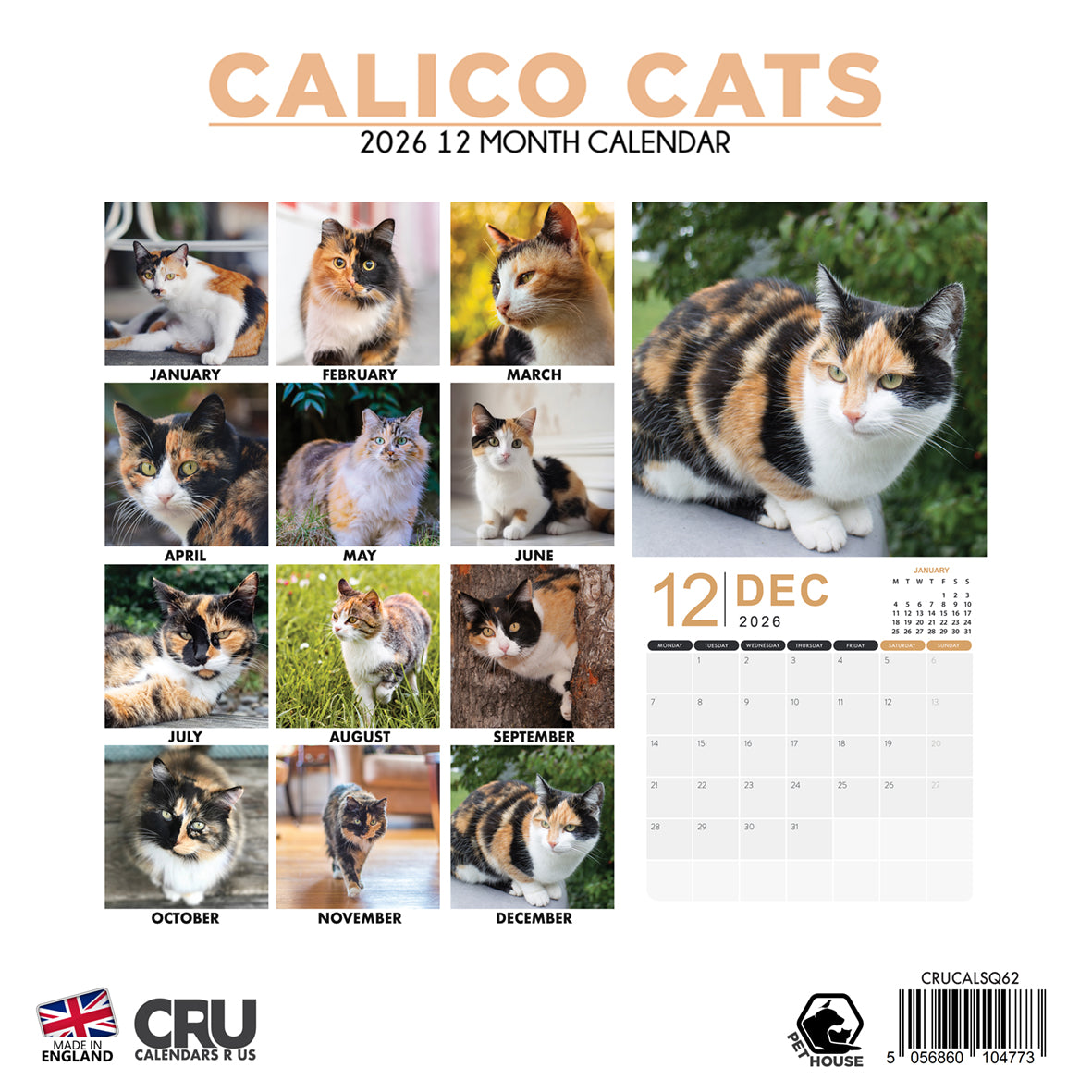 Calico Cats - Square Calendar 2026