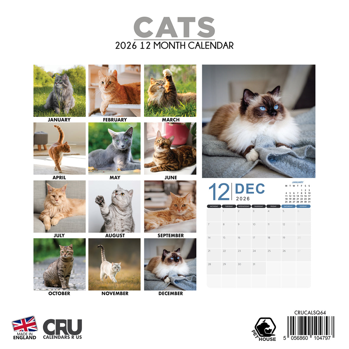 Cats - Square Calendar 2026