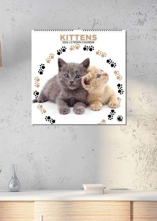 Kittens - Square Calendar 2026