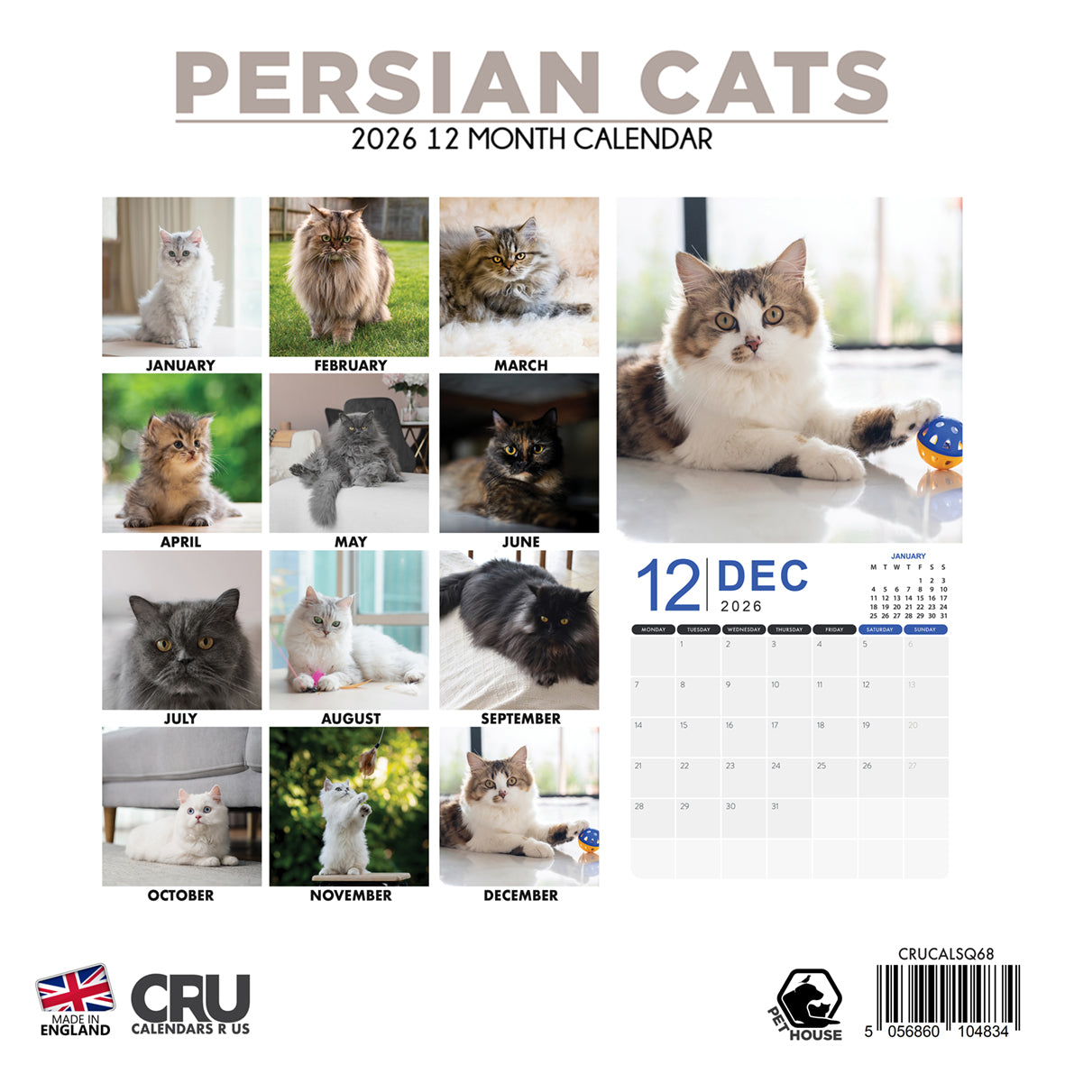 Persian Cats - Square Calendar 2026