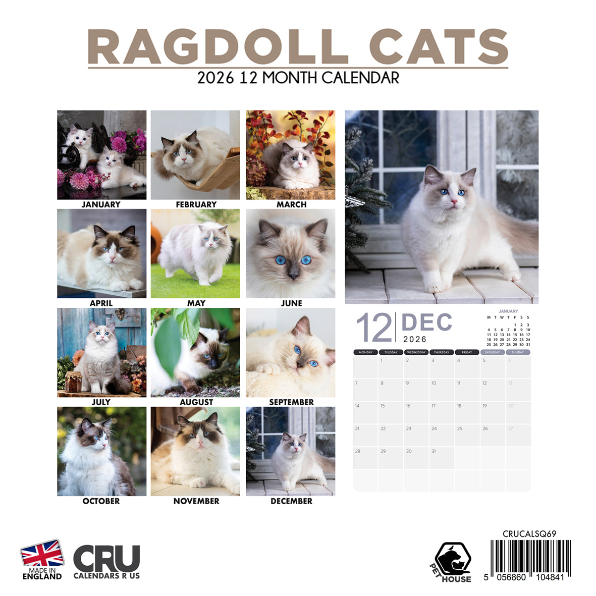 Ragdoll Cats - Square Calendar 2026