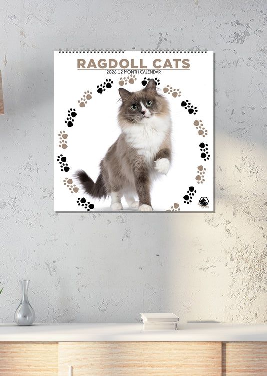 Ragdoll Cats - Square Calendar 2026