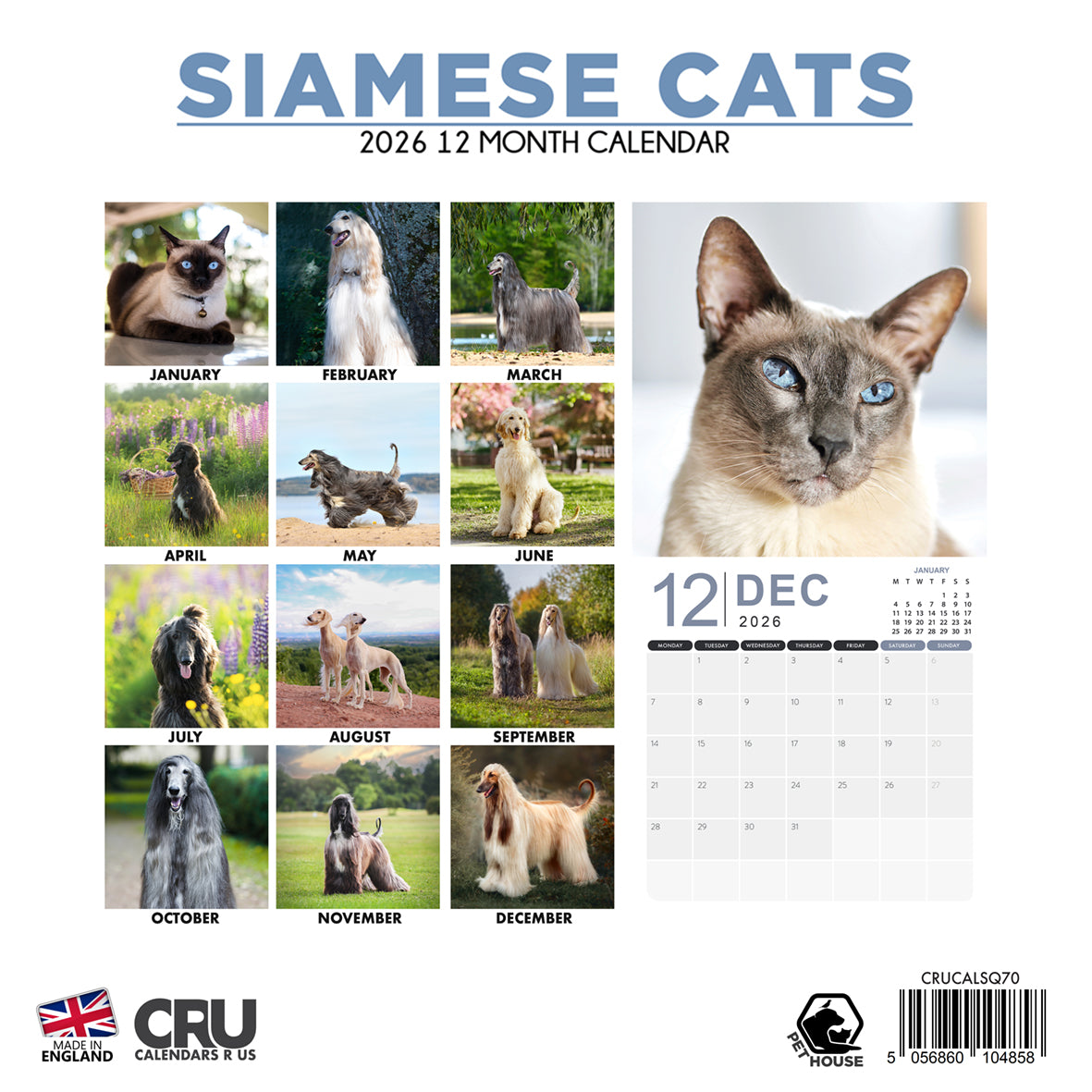 Siamese Cats - Square Calendar 2026