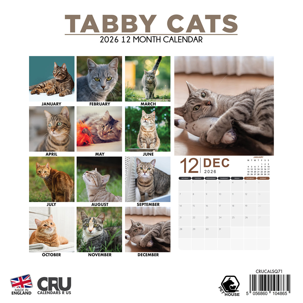 Tabby Cats - Square Calendar 2026