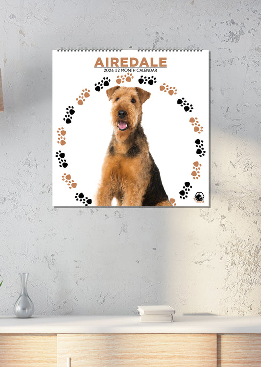 Airedale - Square Calendar 2026