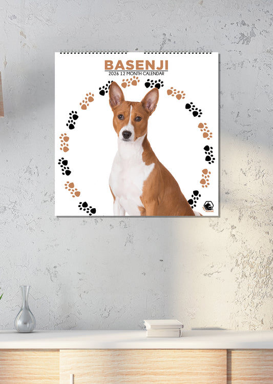 Basenji - Square Calendar 2026