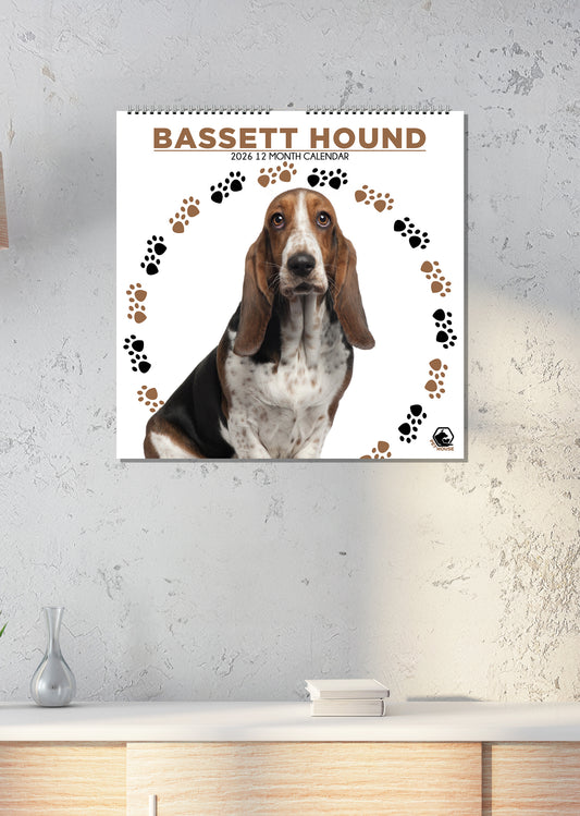 Bassett Hound - Square Calendar 2026