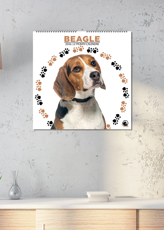 Beagle - Square Calendar 2026