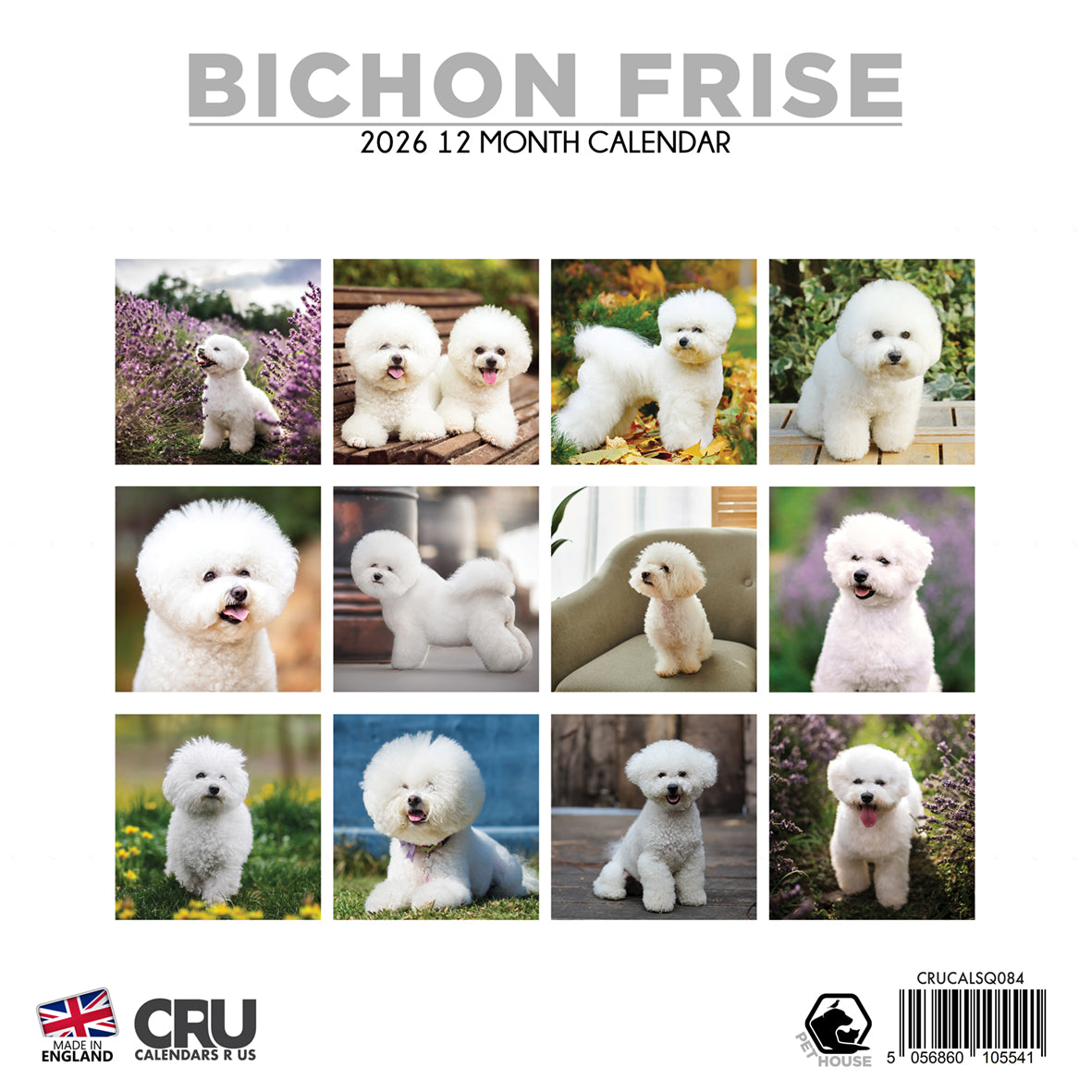 Bichin Frise - Square Calendar 2026