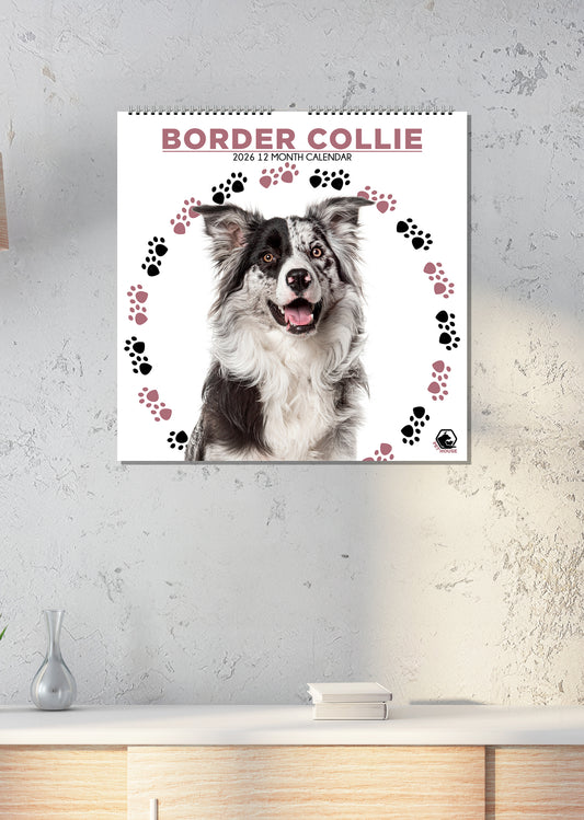 Border Collie - Square Calendar 2026