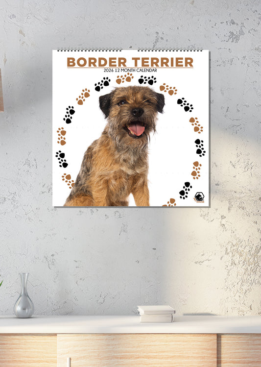 Border Terrier - Square Calendar 2026