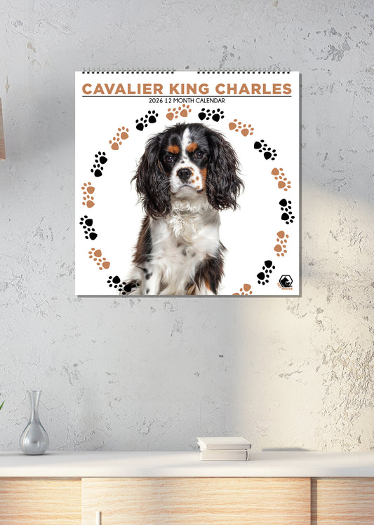 Cavalier King Charles - Square Calendar 2026