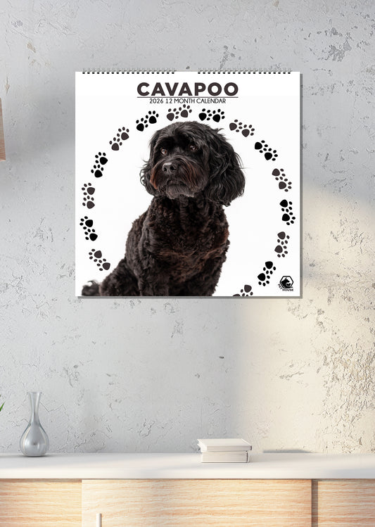 Cavapoo - Square Calendar 2026