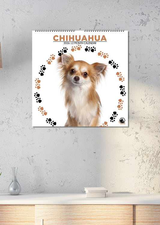 Chihuahua - Square Calendar 2026