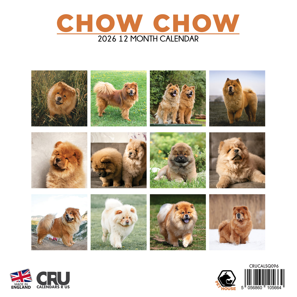 Chow Chow - Square Calendar 2026