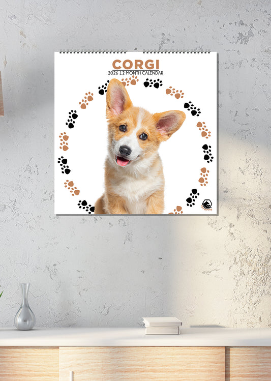 Corgi - Square Calendar 2026