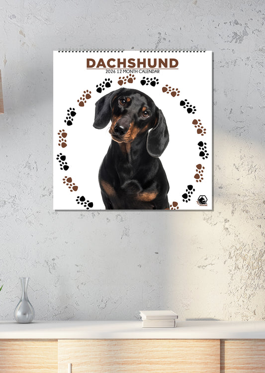 Dachshund - Square Calendar 2026