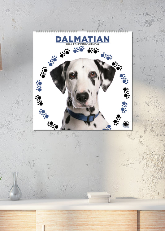 Dalmatian - Square Calendar 2026