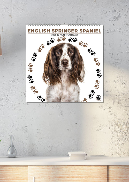 English Springer Spaniel - Square Calendar 2026