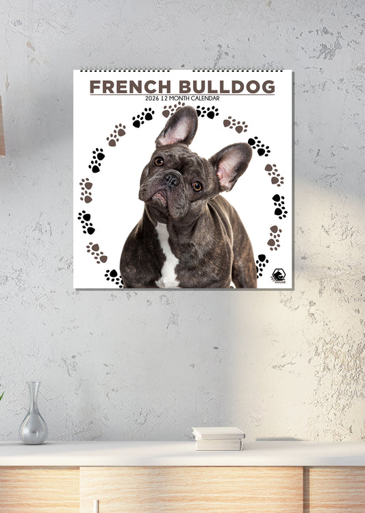 French Bulldog - Square Calendar 2026