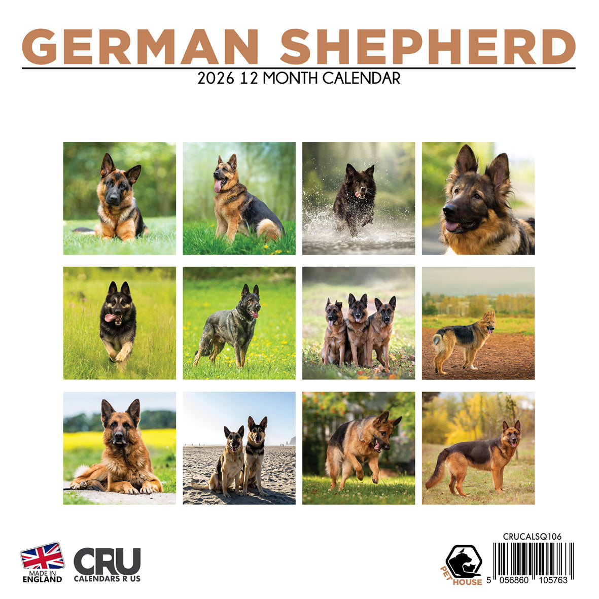 German Shepherd - Square Calendar 2026