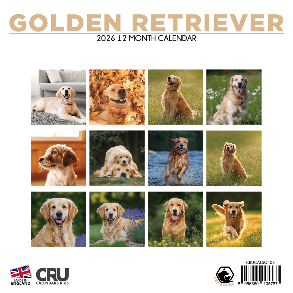 Golden Retriever - Square Calendar 2026