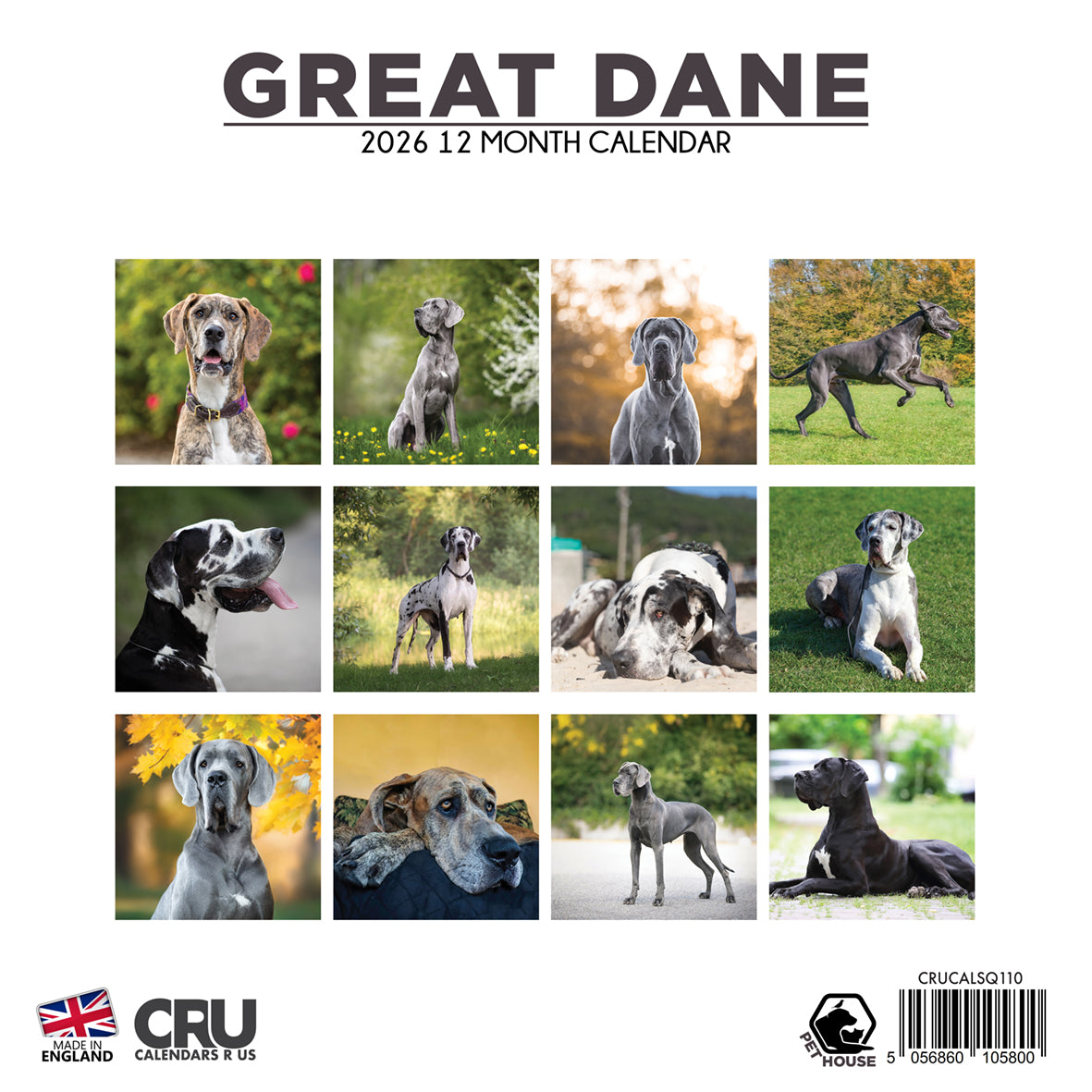 Great Dane - Square Calendar 2026