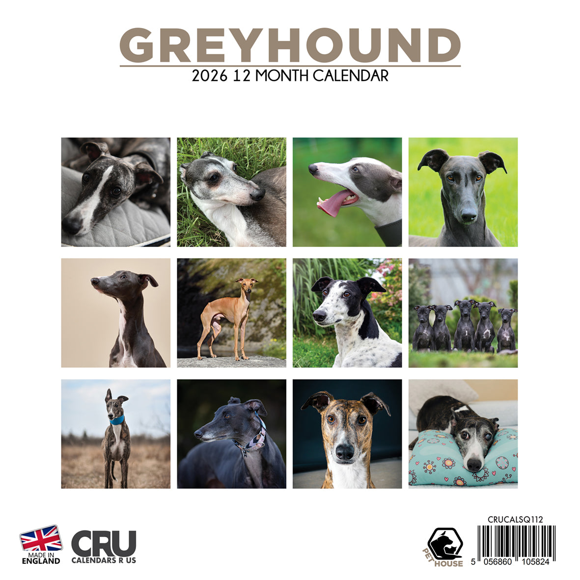 Greyhound - Square Calendar 2026