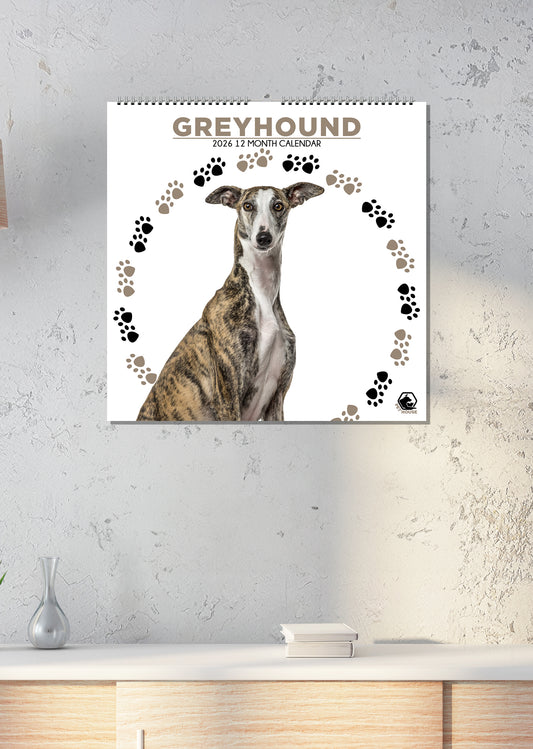 Greyhound - Square Calendar 2026