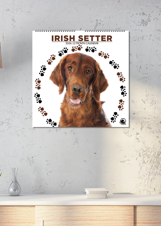 Irish Setter - Square Calendar 2026