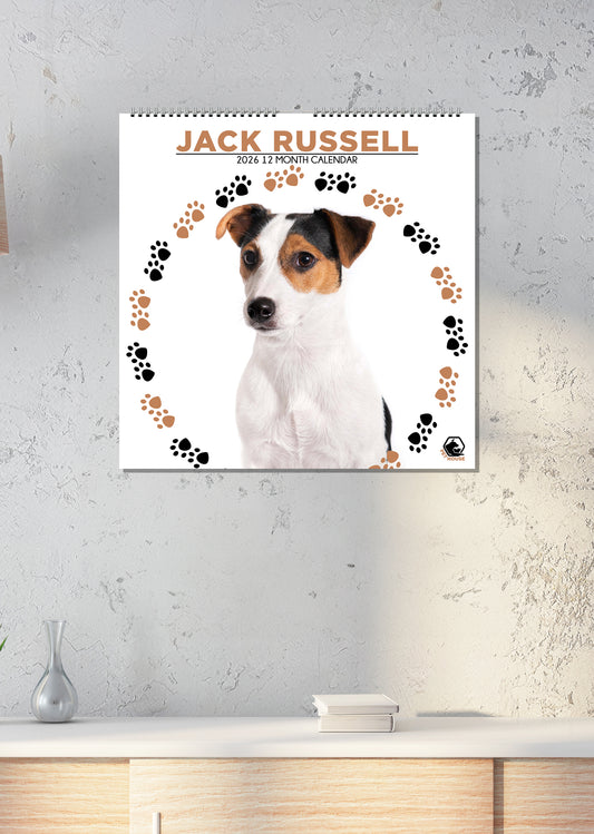 Jack Russell - Square Calendar 2026