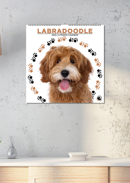 Labradoodle - Square Calendar 2026