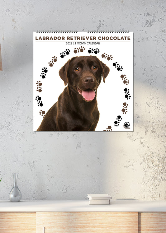 Labrador Retriever Choc - Square Calendar 2026
