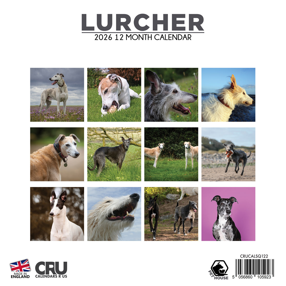 Lurcher - Square Calendar 2026