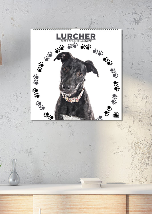 Lurcher - Square Calendar 2026