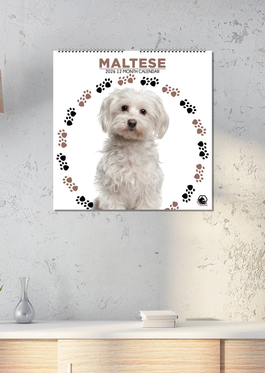 Maltese - Square Calendar 2026