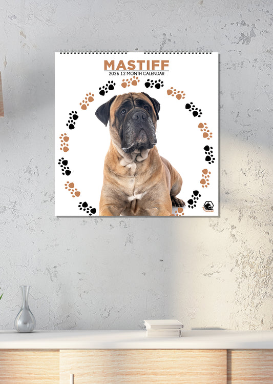 Mastiff - Square Calendar 2026