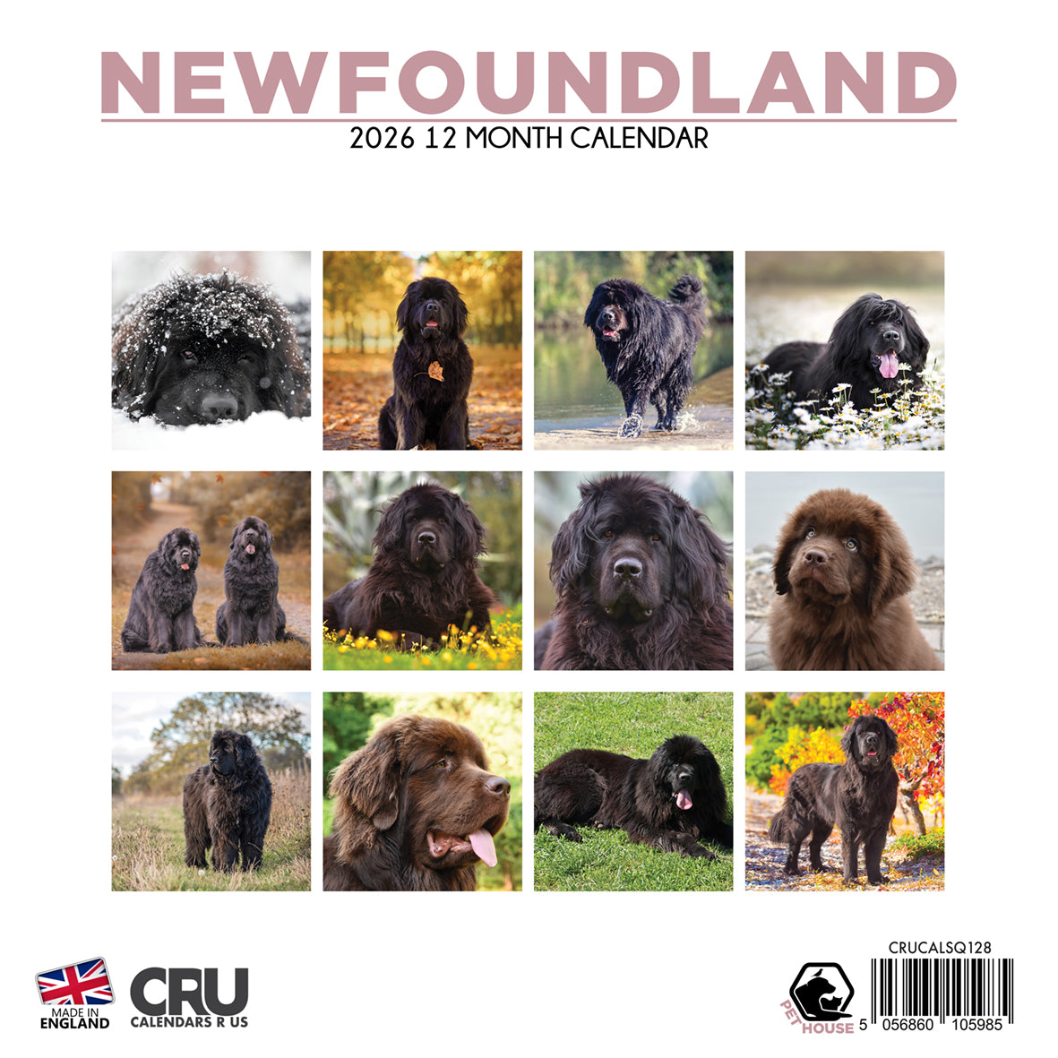 Newfoundland - Square Calendar 2026