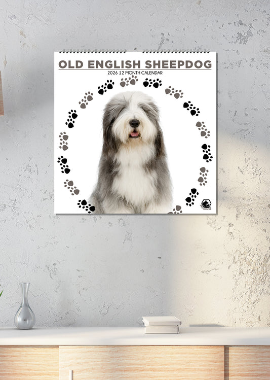 Old English Sheepdog - Square Calendar 2026