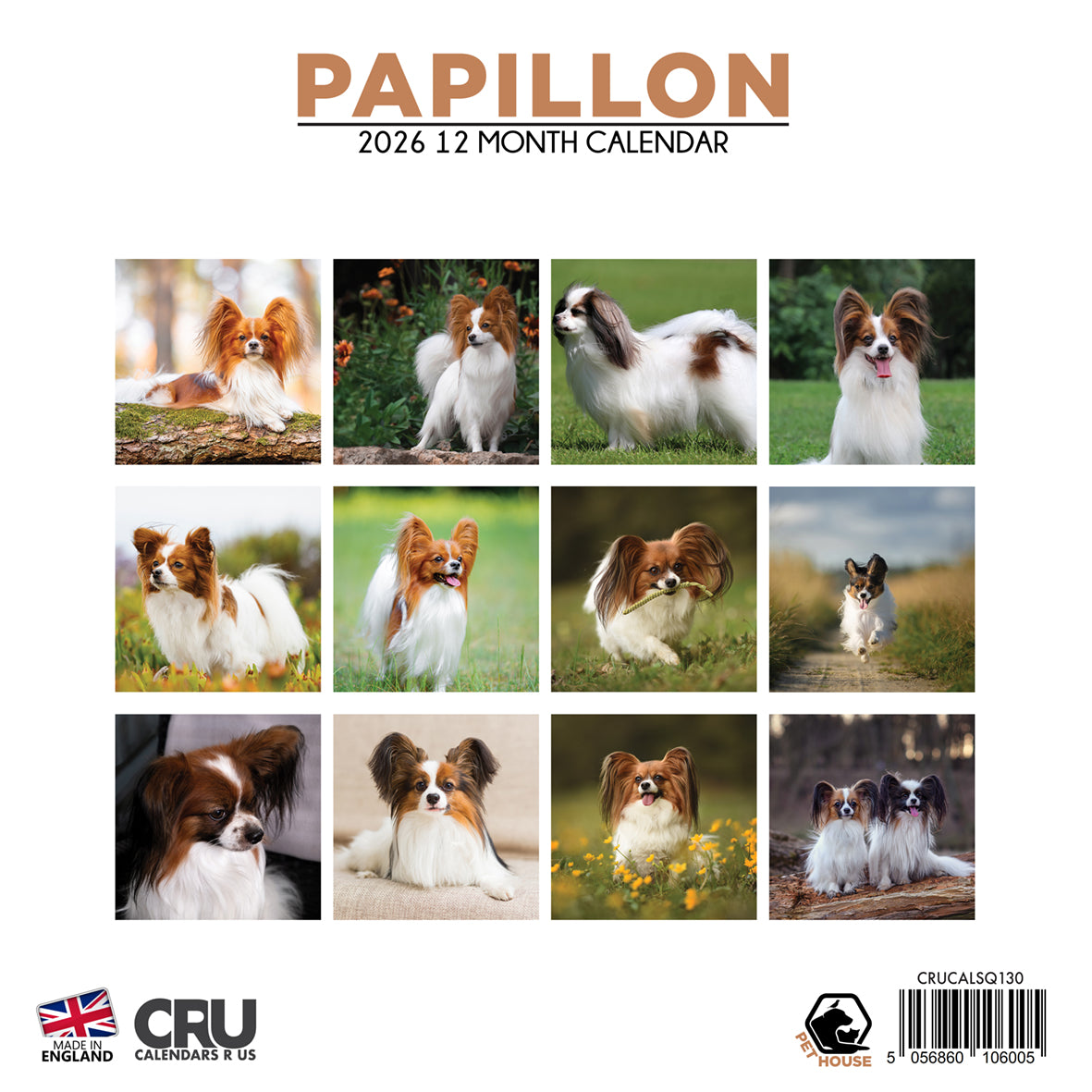 Papillon - Square Calendar 2026
