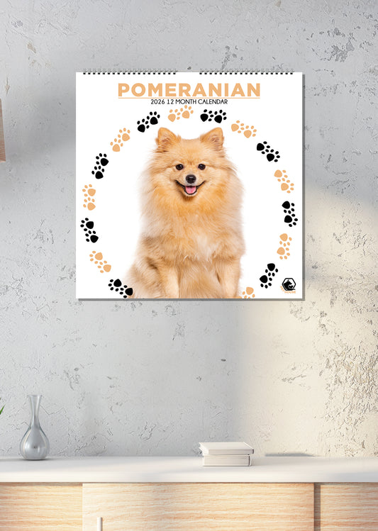 Pomeranian - Square Calendar 2026