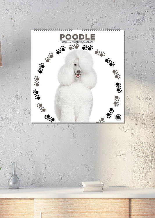 Poodle - Square Calendar 2026
