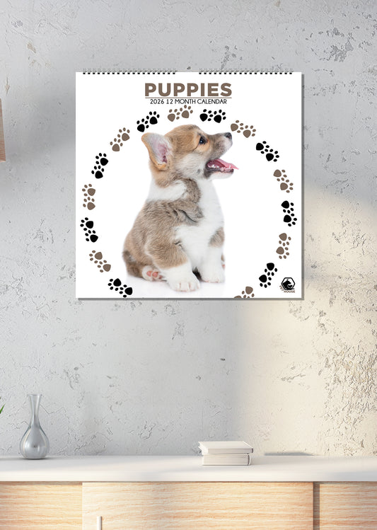 Puppies Calendar - Square Calendar 2026