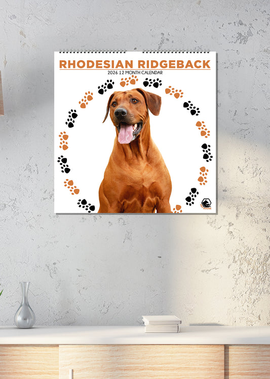 Rhodesian Ridgeback - Square Calendar 2026
